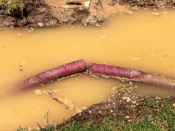 Professional Water damage restoration in Portsmouth, VA